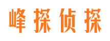 船山市调查取证